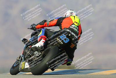 media/Jan-13-2024-SoCal Trackdays (Sat) [[9c032fe5aa]]/Turn 9 Backside (110pm)/